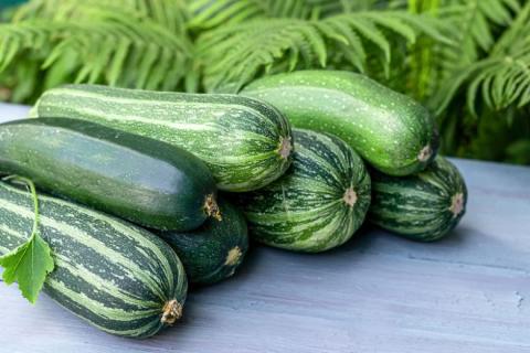 Pic of green zucchinis on table with green fern in background